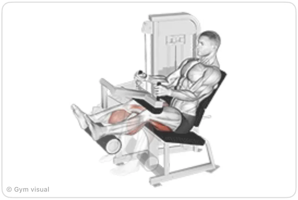 Animated demo frame: Seated Leg Curl