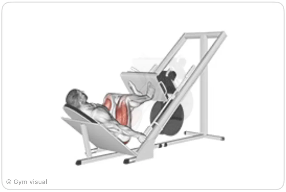 Animated demo frame: Leg Press