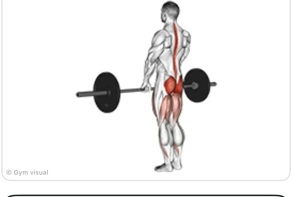 Animated demo frame: Romanian Deadlift