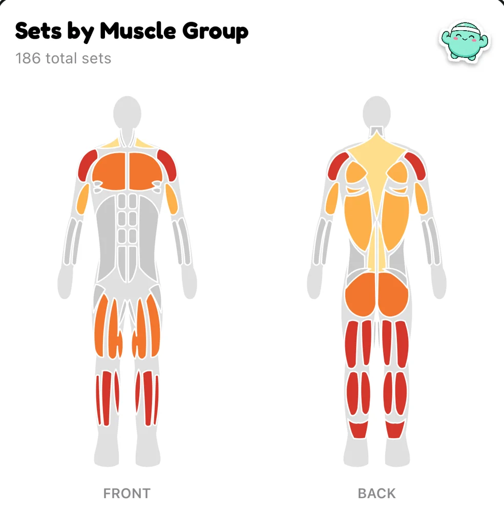 Front and back muscle heat map